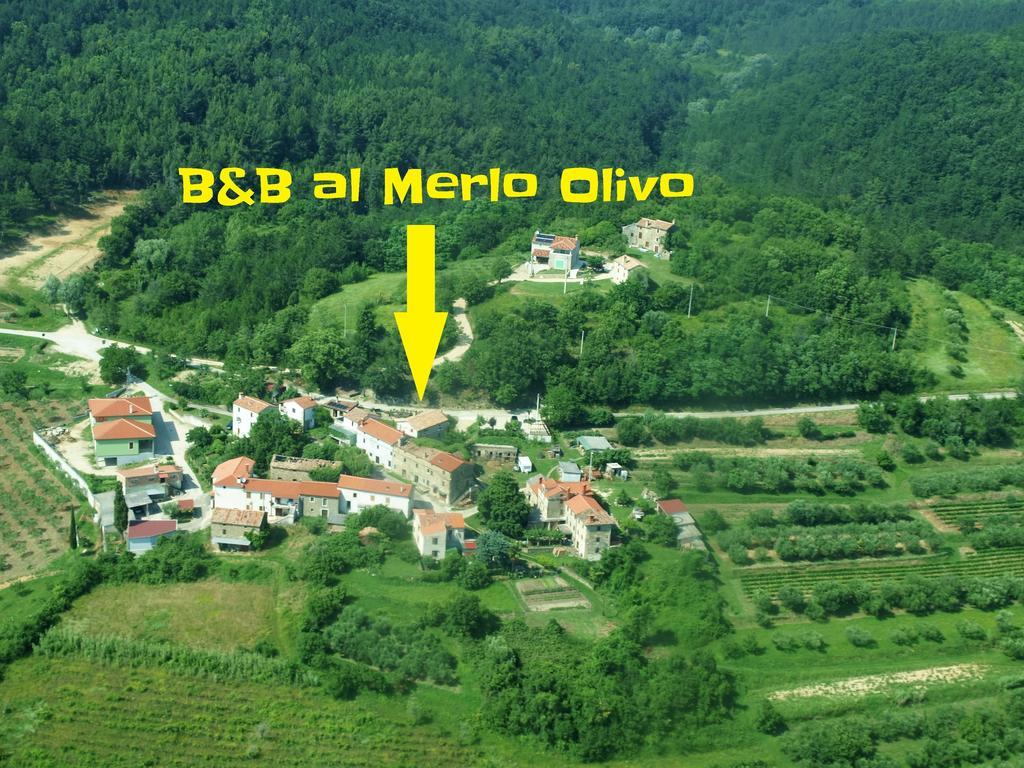B&B al Merlo Olivo Buje Exterior foto