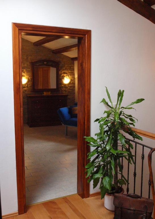 B&B al Merlo Olivo Buje Habitación foto