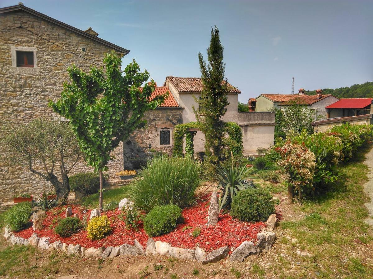 B&B al Merlo Olivo Buje Exterior foto